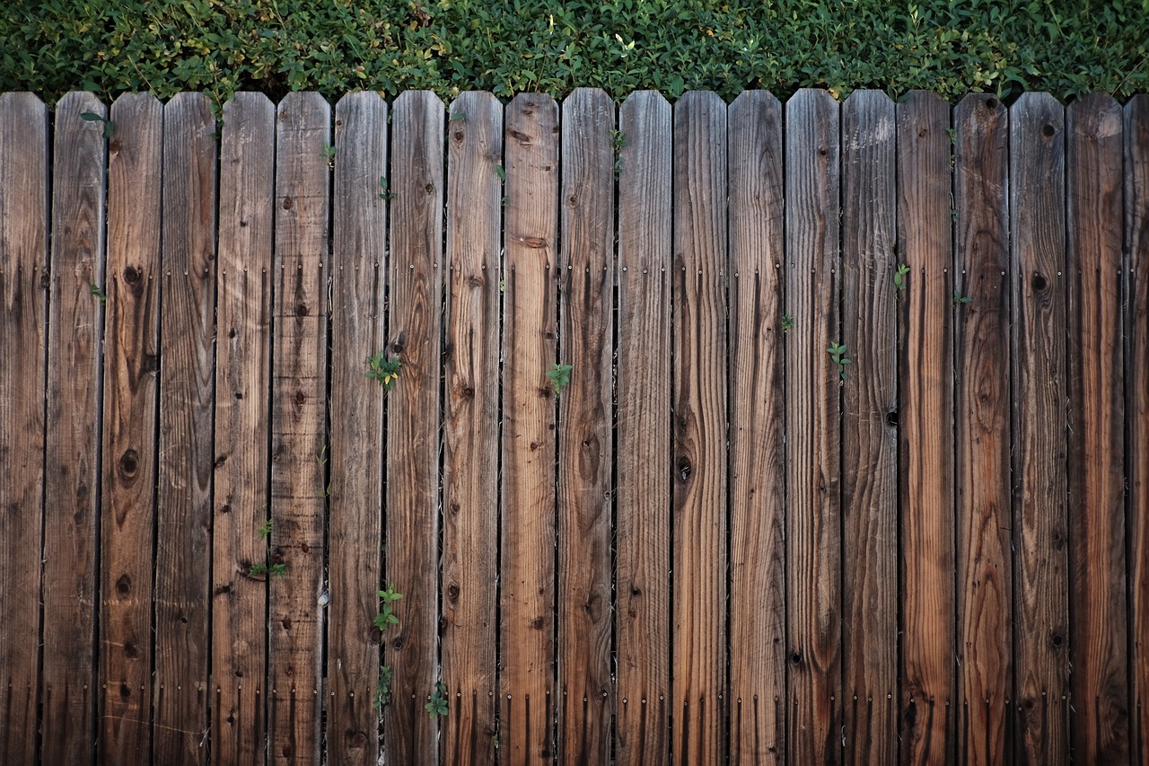 A wooden fence in need of repair.